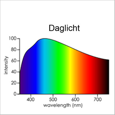 Verder affix concept Spectrum diverse Lichtbronnen - Licht in het atelier.