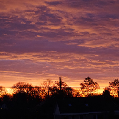 Deemstering - Violettinten