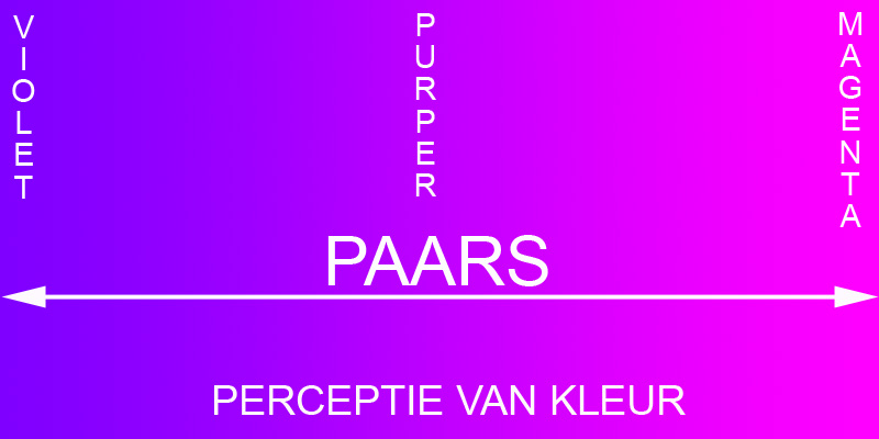 Embryo charme Conjugeren Paars-Purper-Violet-Magenta ... wat is het verschil? - Het Palet