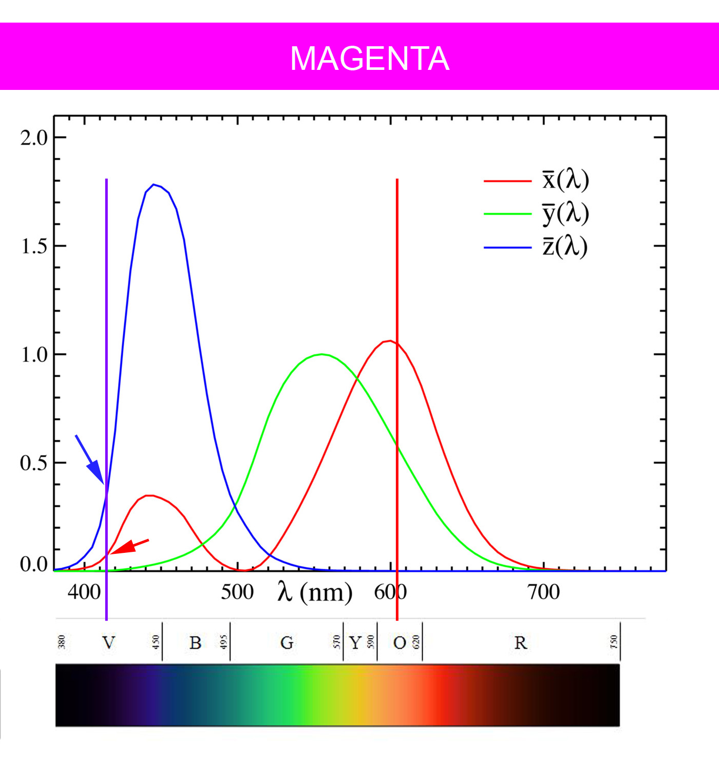 Spectrum Magenta
