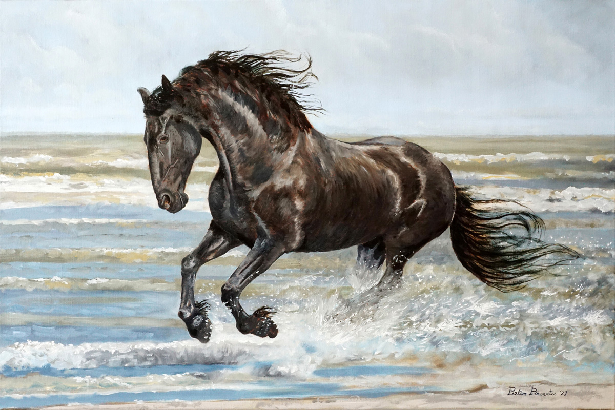 veiligheid Slot rustig aan Fries Paard in galop langs de Vloedlijn - Olieverfschilderij, Pieter Broertjes veiligheid Slot rustig aan Fries Paard in galop langs de Vloedlijn - Olieverfschilderij, Pieter Broertjes