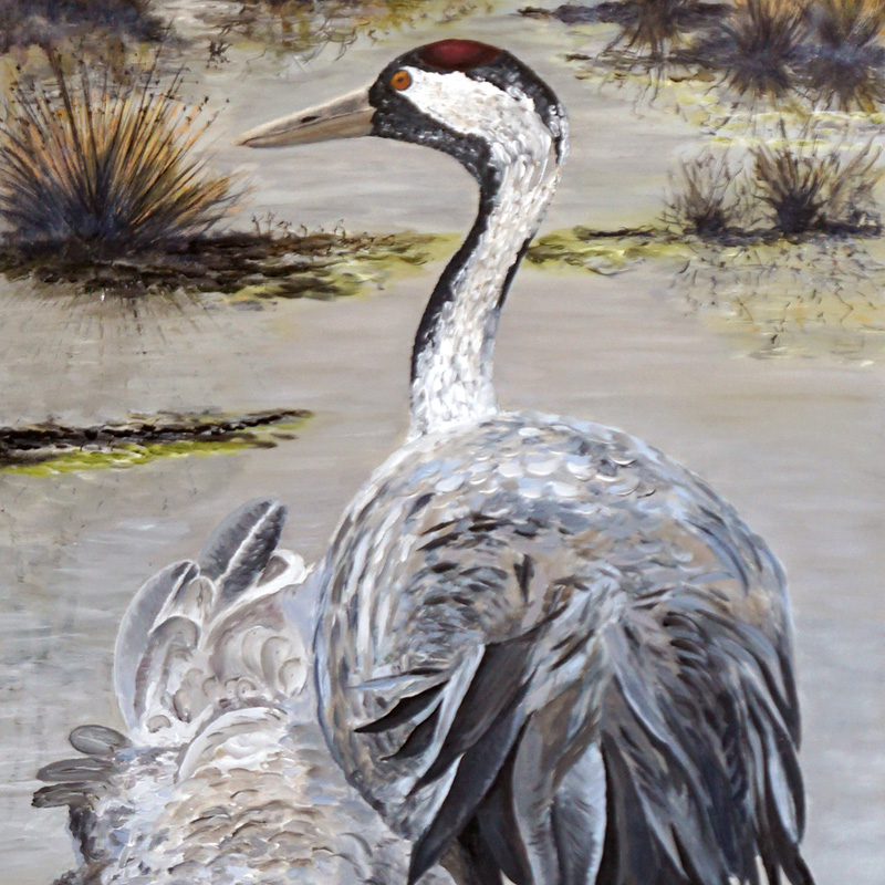 Kraanvogels detail