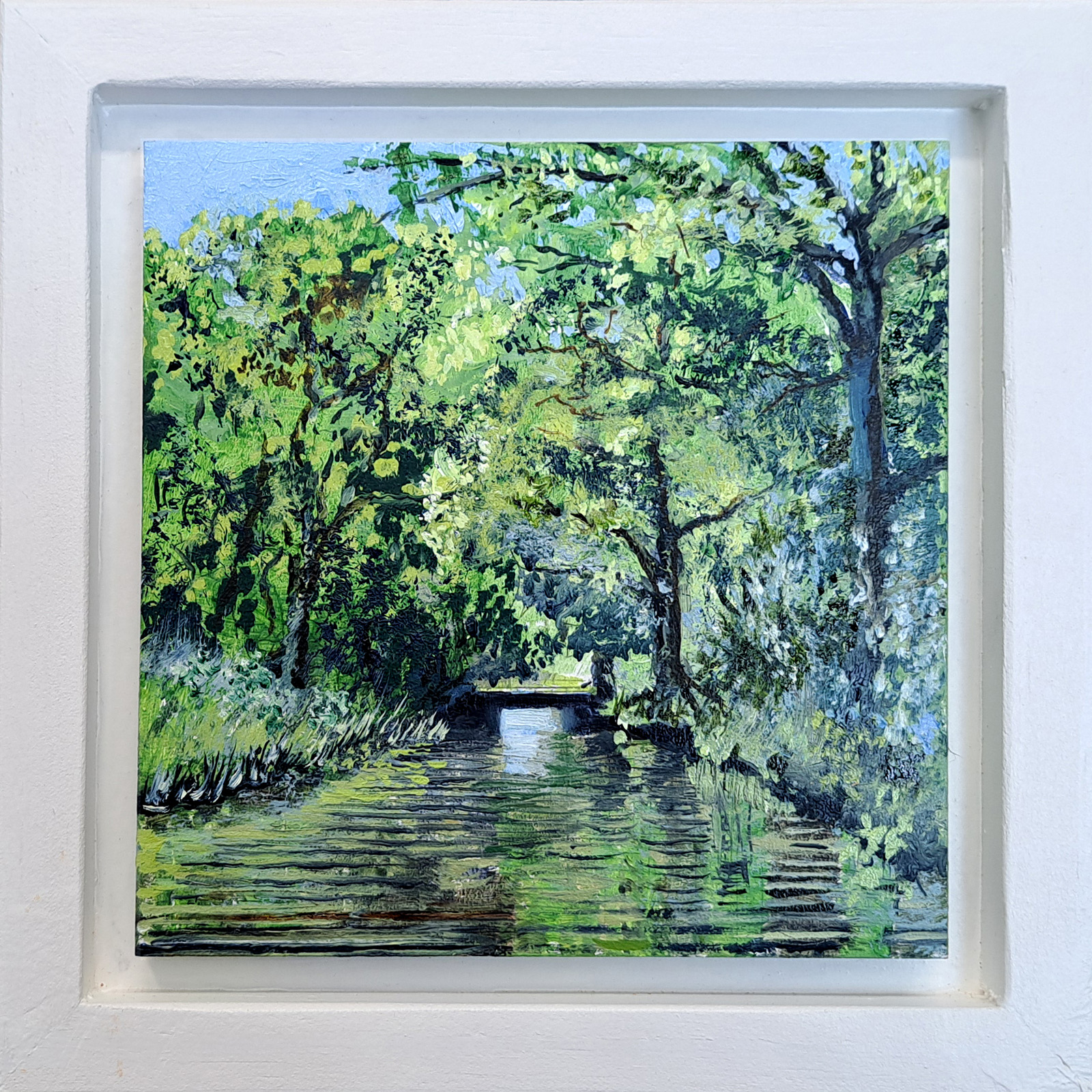 MM 15 x 15 - Groene tunnel - Spoekhoeksterfaert Rijs - www