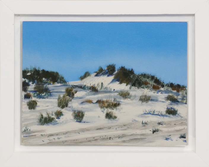 Terschelling Hoorn Duinen 01 sml