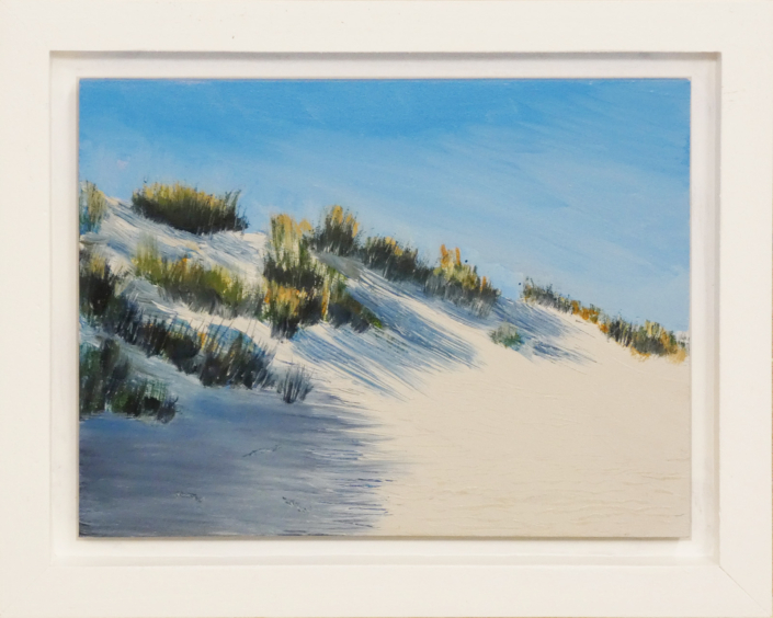 Terschelling Hoorn Duinen 02 sml