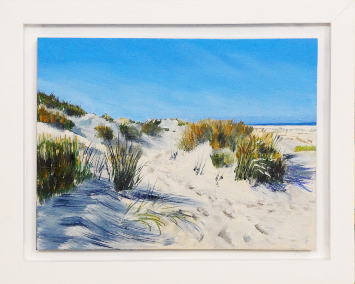 Terschelling Hoorn Duinen 03-sml